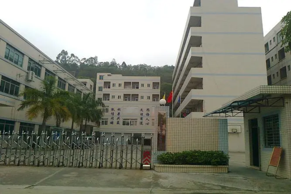 恭喜東莞市**硅膠電子科技有限公司通過Disney認(rèn)證