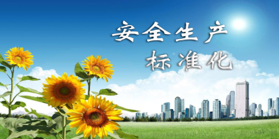 安全生產標準化 安全生產標準化